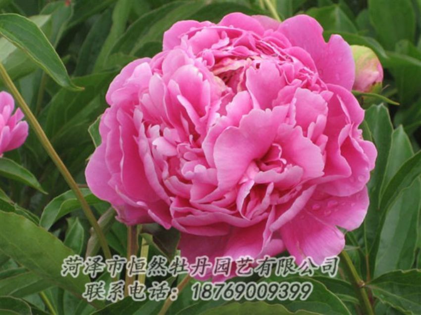 點擊查看詳細信息<br>標題：月照山河 閱讀次數(shù)：1040